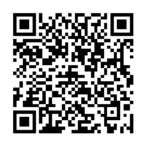 但能让本系统那吃了二十几年素的主人开了窍想尝尝荤二维码生成