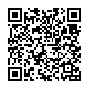 但能长成这般水灵而且能打的女人他可从来都没有见过二维码生成