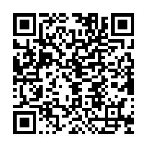 但能麻烦你们别在我更新一章的时候跑来影响我美好的心情吗二维码生成