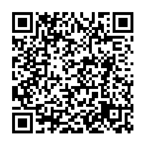 但脸上根本没办法恢复的惨白面色与身体依旧克制不住的颤抖出卖了她二维码生成