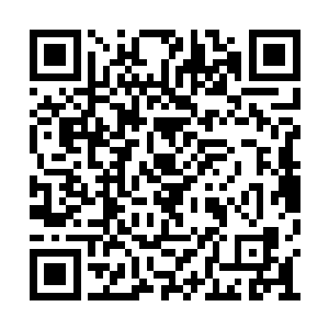 但自小却受到了最严格的训练和最高规格的教育二维码生成