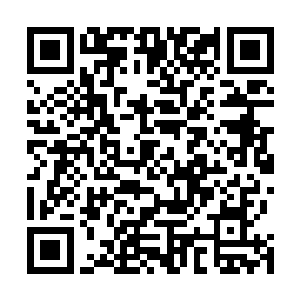 但自己作为夏力行的专职秘书本来就是一个很敏感的位置二维码生成