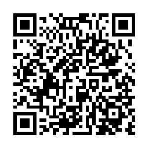 但自己的多番维护还是让凤沉逃过了几次本该有的惩罚二维码生成