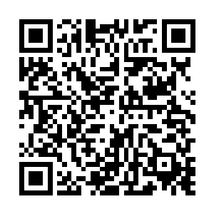但至少不会如此轻易的就交出了这种明显是讹诈的重宝二维码生成