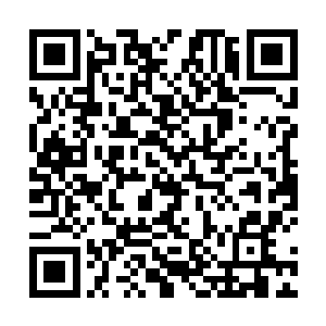 但至少我可以让这个弑君篡位者看看鹰之国公主的骄傲二维码生成