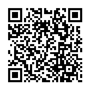 但苍白的脸色和满头的冷汗却是连自己都骗不了二维码生成