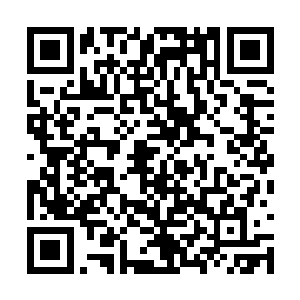 但若是深入细想就会明白还有这么多人选择留下来二维码生成