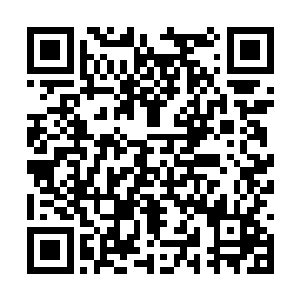 但若是连一点点成就毒中王者的信心和劲头都没有二维码生成