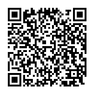但若说被赤螭控制自己之后跑来无赦谷寻找墨蛟的话倒还说得过去二维码生成