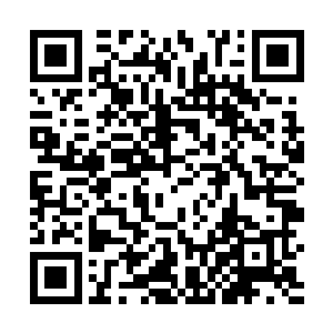 但范子衿还是眉头微跳的想起这几天西夏和金国的新闻二维码生成