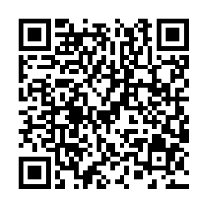 但茉莉体内的力量却在这一瞬间出现了剧烈的沸腾二维码生成