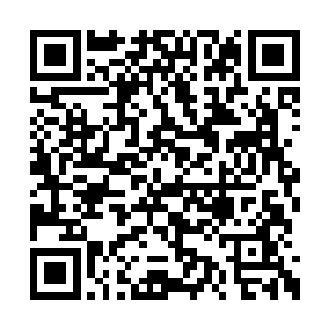 但莎莉和梅勒琳两个人还是不甘心地留在了这里二维码生成