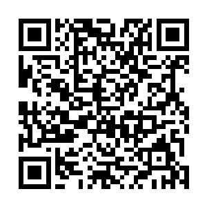 但莫千山一口咬定自己感应到了另外一个宇宙雏形的气息二维码生成