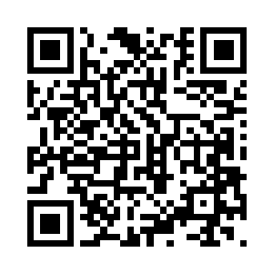 但莱昂纳多却完美地呈现出了兰波的闪光点二维码生成