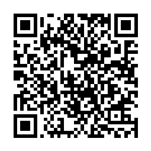 但萨兰登和兰开斯特精湛的表演却让电影具备了说服力二维码生成