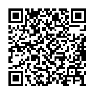 但落日禁地在整个蛮荒大陆都是极为恐怖的禁地二维码生成