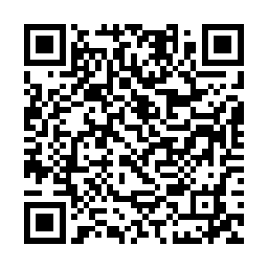 但被家里人一吓又有些心虚――如果这是个新人演出二维码生成