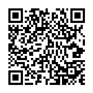 但西餐日料什么的……材料做工都的好也是挺值得一吃的二维码生成