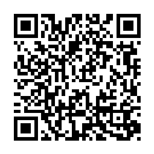 但要做到你说的那样让整个乌鸡国的人不愁吃喝二维码生成