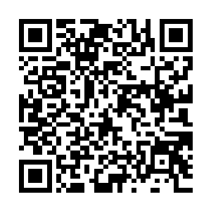 但要斩杀一尊万古六重天巅峰并且剑法境界接近人境高阶的对手二维码生成