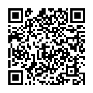 但要说人类未来十年的生物学发展就指望这么几百个人二维码生成