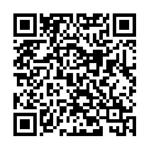 但见……一位手持法棍的白袍老者从石墓深处缓缓走来二维码生成