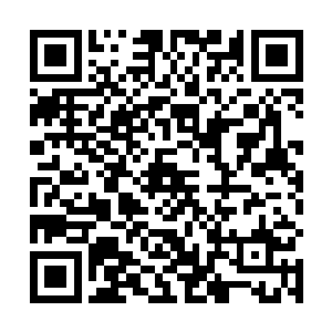 但见一个三丈高的男子带着一头六七丈大的黑色长毛象二维码生成