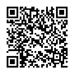 但见一只只好像蚂蝗一样的黑色飞虫大片大片的飞出去二维码生成