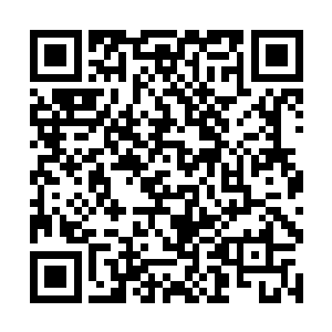 但见他们桌上的放着菜肴与大宋的当真是完全不一样二维码生成