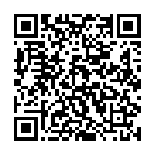 但见苏墨尘这样大牌的人居然会甘愿做阮荷黎的车夫二维码生成