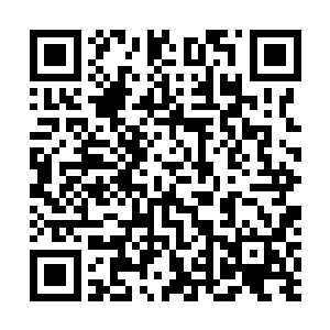 但规模还远远达不到能参加赌石公会举办的拍卖会的资格二维码生成