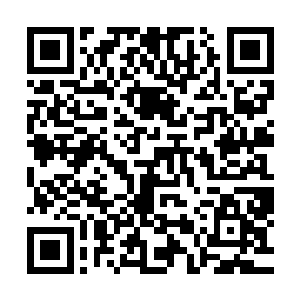 但论到保命和恢复的能力却是比他们之中的任何一个人都要强二维码生成