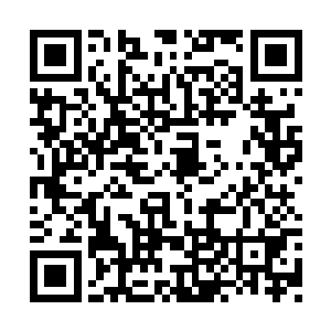 但设定上也只是十三岁而已……至于实力嘛……二维码生成