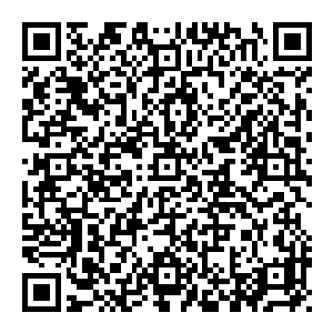 但诡异的是音波力量击中剑尘的身体时竟然化为一股能量悄无声息间进入了剑尘的身体然后被混沌之力同化转化成了自己的力量二维码生成