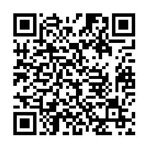 但说到底今日龙岛之事杨开还是占了很大一部分责任的二维码生成