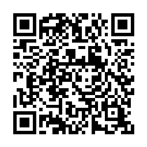 但谁也不敢保证那个异族大巫会不会在这埋伏着二维码生成