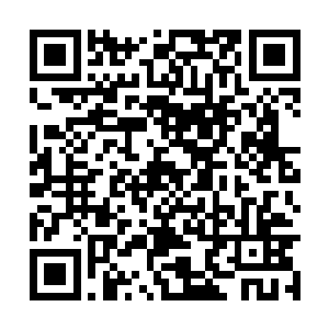 但谁见过六品开天如七品一般穿梭在战场上厮杀的二维码生成