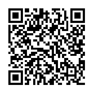 但谢家任何一个小姐跟前的丫头都是十指不沾阳春水的二维码生成