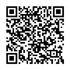 但赤炼是凭借刻苦的闭关独自修炼到这个境界的二维码生成