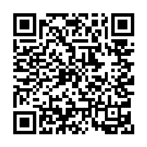 但赵羽还是觉得没有什么事情是杨晨不能解决的二维码生成