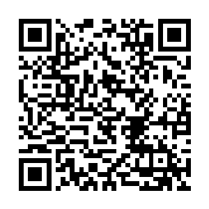 但起码可以达到异化的极品仙级火种九幽鬼火的境界二维码生成