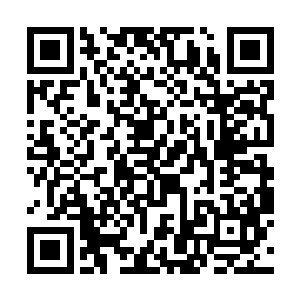 但距离昨晚他们进入下水道到现在已经快十个小时了二维码生成