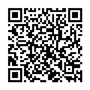 但跟华夏经过港台电影渲染过的黑帮电影里的黑帮不同二维码生成