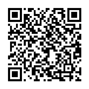 但身上氤氲的死气到是半点不假的证实了他实际是鬼物二维码生成