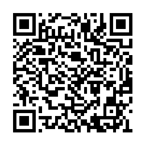 但身上的气息已经和之前看到她的时候截然不同二维码生成