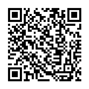 但身后一个正在写着什么表格的女孩子忽然嗤笑了一声二维码生成