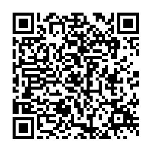 但身姿气度尤其是那双仿佛容纳了整个世界的眼睛却是千夜过目难忘的二维码生成