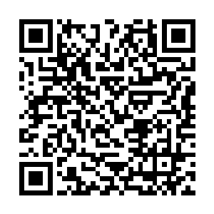 但过于混乱的战场形势让传令者很难完成自己的任务二维码生成