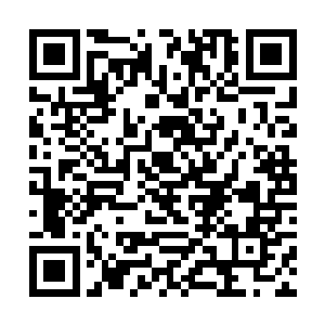 但迈尔发一个主会场就有不下于十个王级骇客的存在二维码生成