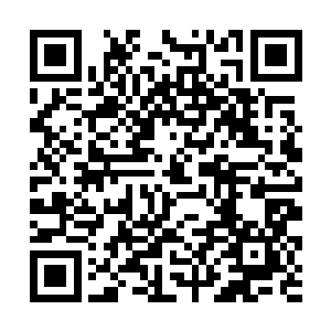 但还是尽量大方地接受了珍妮的夸奖――在这一会儿二维码生成